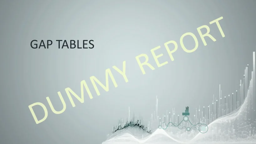 GEM24_ChallengerReport_DUMMY-19