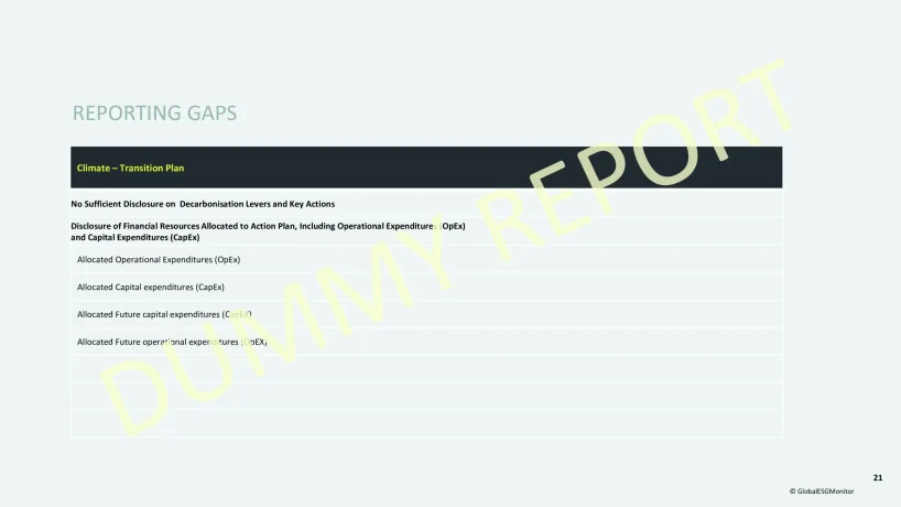 GEM24_ChallengerReport_DUMMY-21